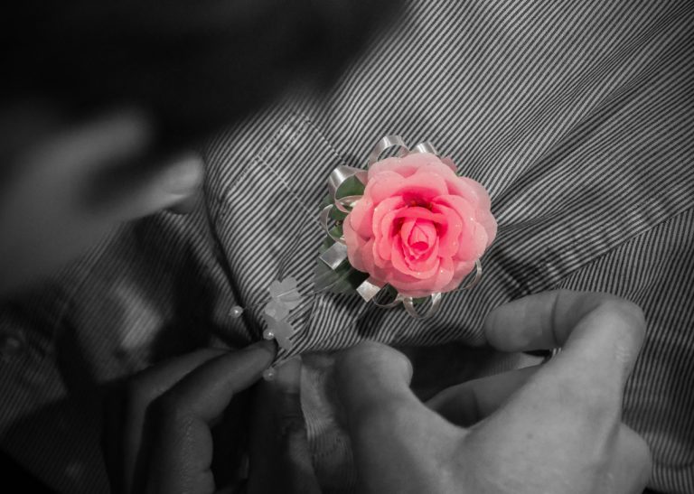 Bông Hồng Cài Áo